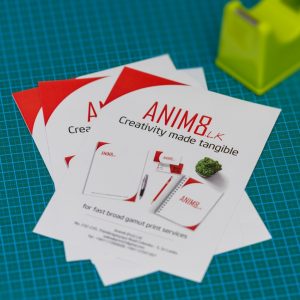 Double Sided A5 Leaflets - Set of 20