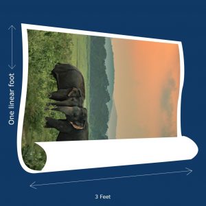 Canvas Roll