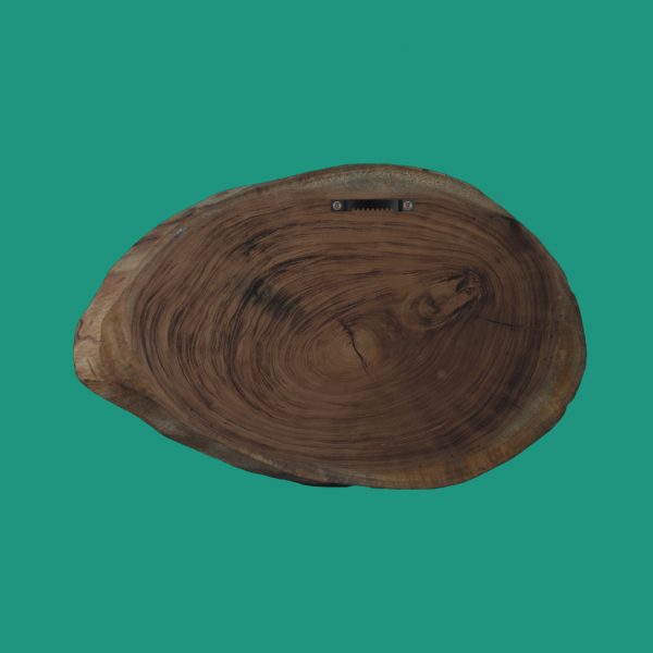 Rock and Log Photo Print - Image 3