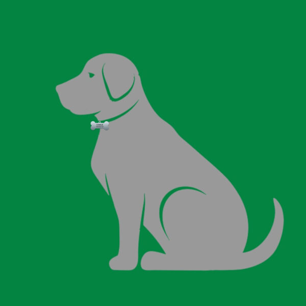 Metal Bone Dog Collar Tag - Image 2
