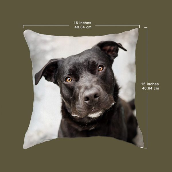 Pet Cushion Cover - Image 5