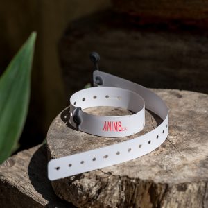 Printed Security Wristband - Set of 20