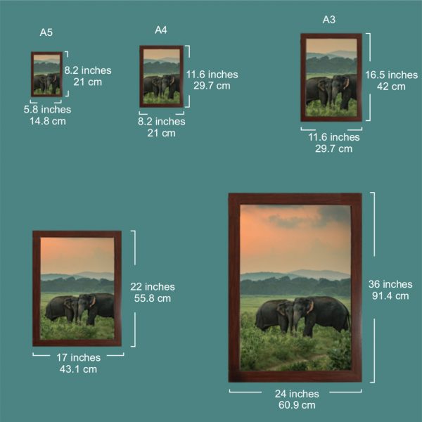 Brown Fibre Photo Frames - Image 5