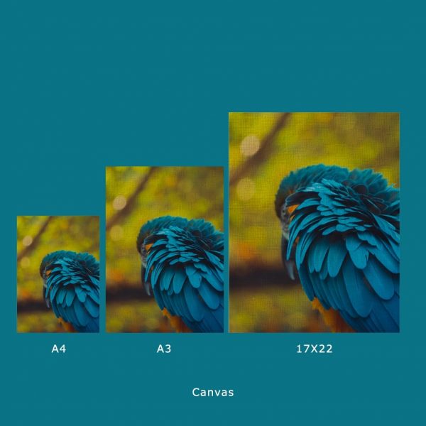 Patterns - Image 2