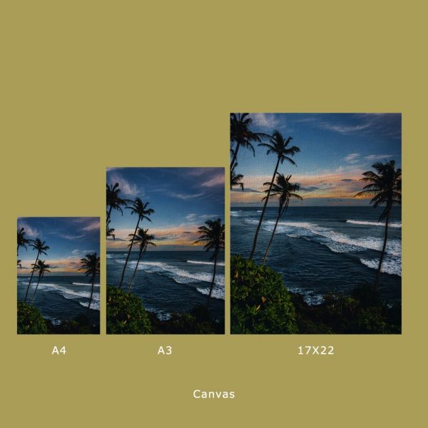 Meet Me Under The Palm Trees - Image 2