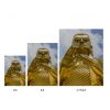 The Golden Buddha Statue, Dambulla, Sri Lanka - Image 2