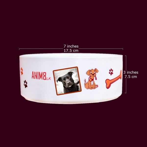 Pet Food Bowl - Image 2