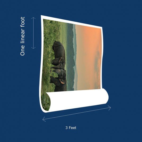Canvas Roll - Image 4