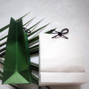 Coloured Carrying Paper Bag - Set of 04