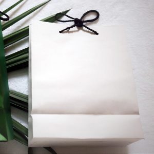 White Carrying Paper Bag - Set of 04