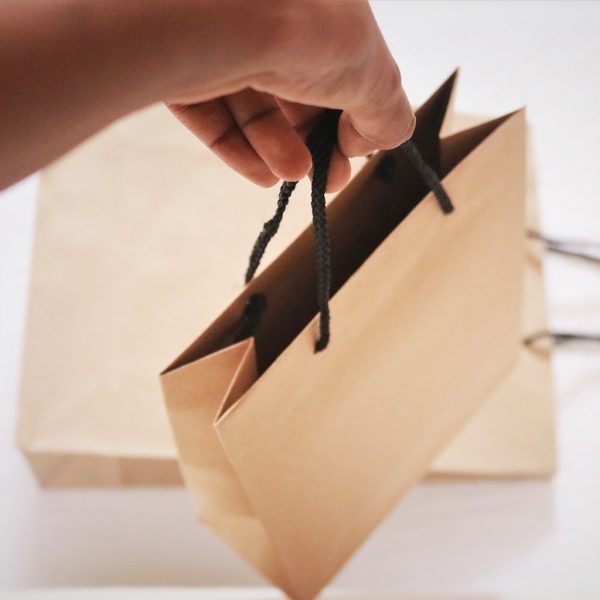 Brown Craft Paper Carrying Bag - Set of 04