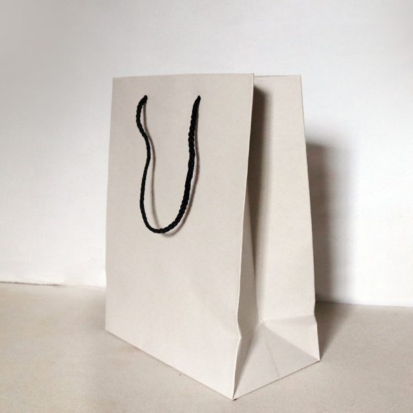 White Carrying Paper Bag - Set of 04 - Image 3