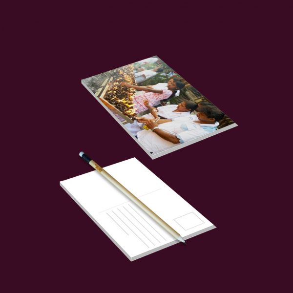 Standard Postcards - Set of 08 - Image 4