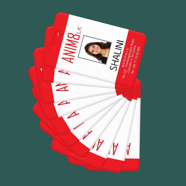 Plastic ID Cards - Set of 10 - Image 6