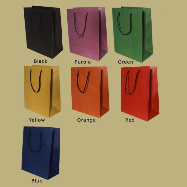 Coloured Carrying Paper Bag - Set of 04 - Image 6