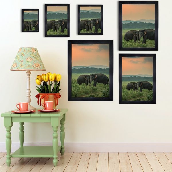 Glass Covered Black Fibre Frames - Image 2