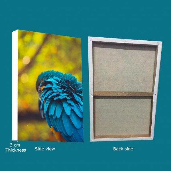 Patterns - Image 4