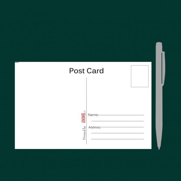 Standard Postcard - set of 12 - Image 5