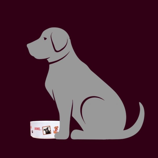Pet Food Bowl - Image 3