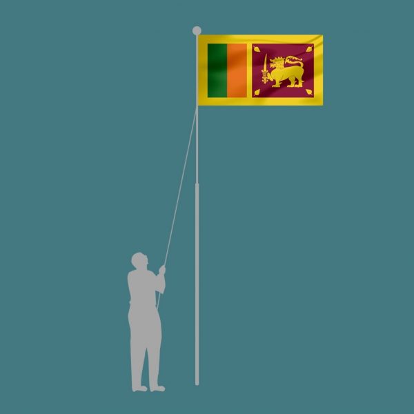 Flags of the World - Image 3