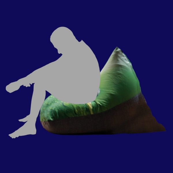 Apihappi Printed Bean Bags - Lizard - Image 5