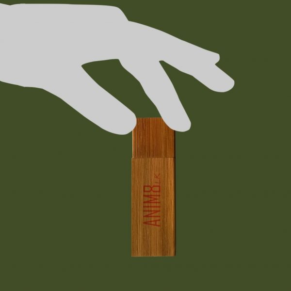 Custom Printed Wooden Pen Drive - Image 4