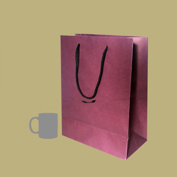 Coloured Carrying Paper Bag - Set of 04 - Image 3