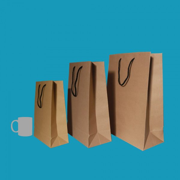 Brown Craft Paper Carrying Bag - Set of 04 - Image 2