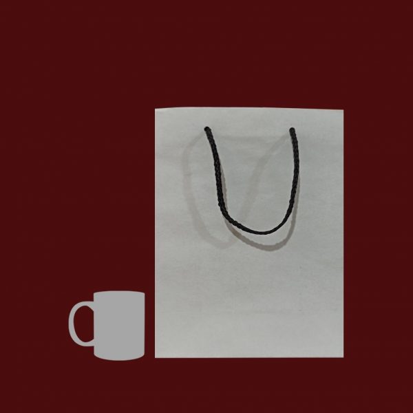 White Carrying Paper Bag - Set of 04 - Image 4