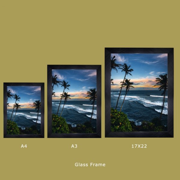 Meet Me Under The Palm Trees - Image 5
