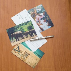 Standard Postcards - Set of 08