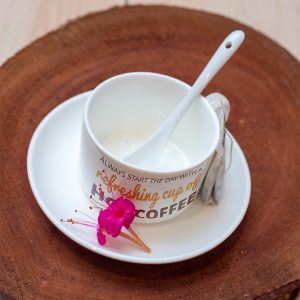 Tea Cup n Saucer with Spoon
