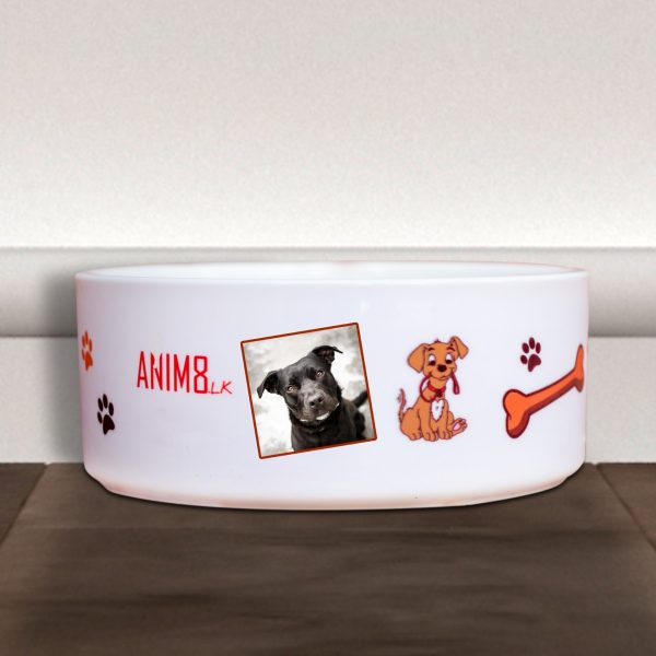 Pet Food Bowl