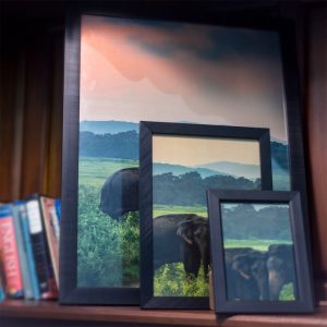 Glass Covered Black Fibre Frames