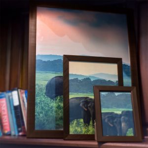 Brown Fibre Photo Frames