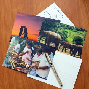 Medium Postcards - Set of 04