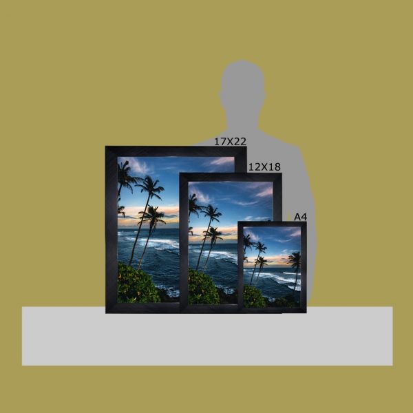 Meet Me Under The Palm Trees - Image 6