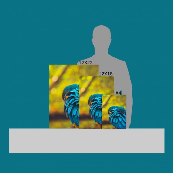 Patterns - Image 7