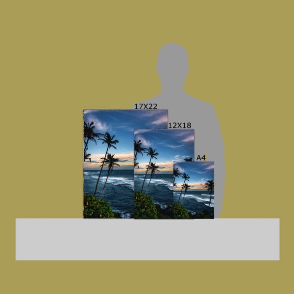 Meet Me Under The Palm Trees - Image 7