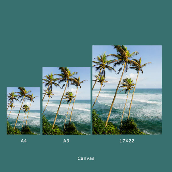 Salt, Sun & Summer - Image 2