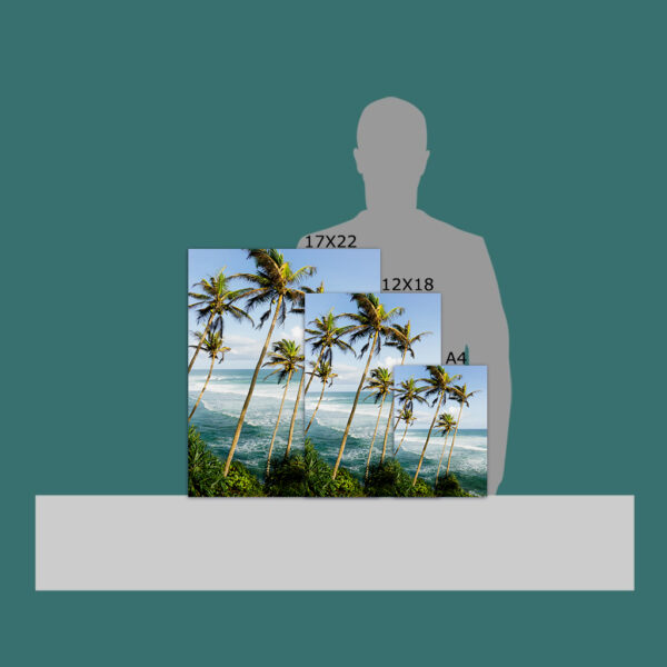 Salt, Sun & Summer - Image 7